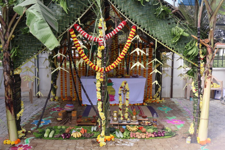 Celebrating Pongal the Traditional Way